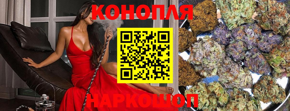 Бошки Шишки семена Кондопога